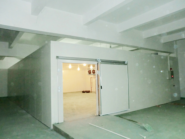 藥廠大型醫(yī)藥冷庫設(shè)計(jì)建造