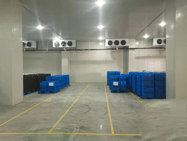 金華建一個(gè)水果冷庫需要多少錢？